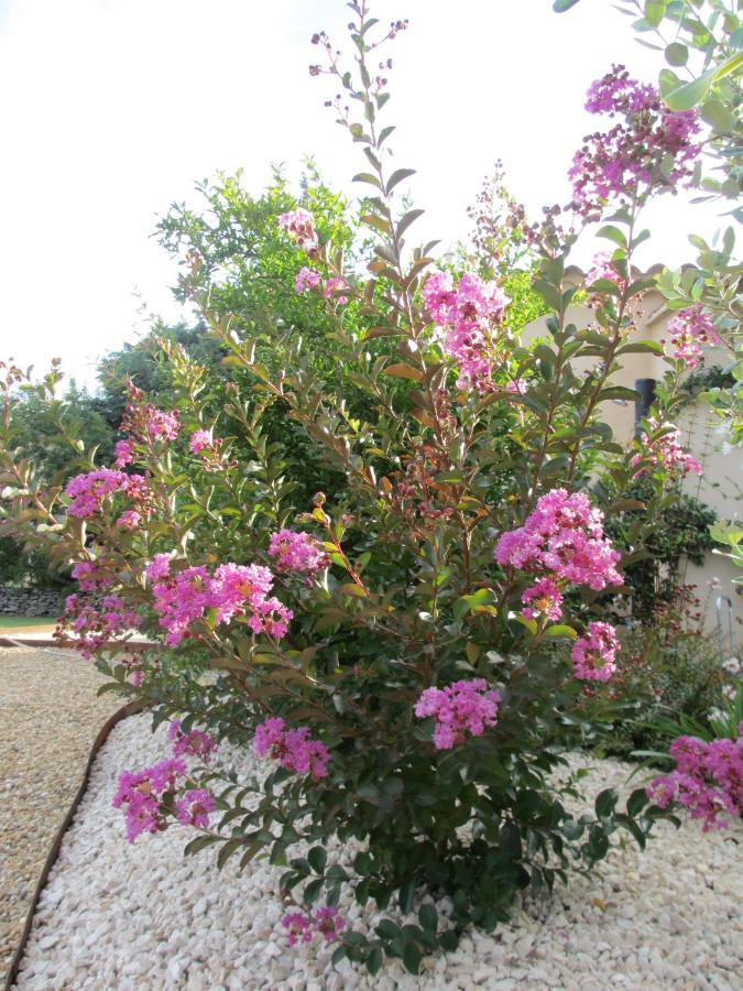 Mazet De La Lavande อูเซส ภายนอก รูปภาพ